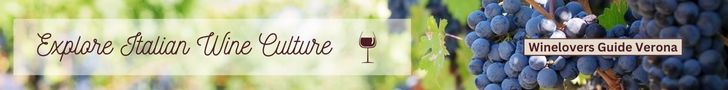 banner ad with vineyard in background