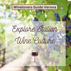 square ad with vineyard in background